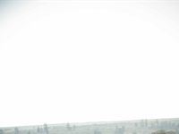 Major League Gardens Festival