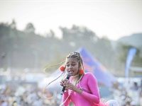 Major League Gardens Festival