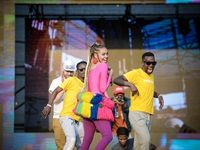 Major League Gardens Festival