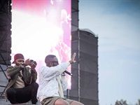 Major League Gardens Festival