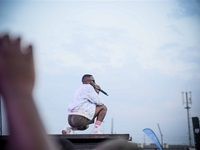 Major League Gardens Festival