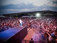 Major League Gardens Festival