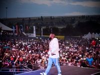 Major League Gardens Festival