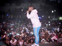 Major League Gardens Festival