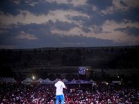 Major League Gardens Festival