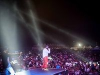 Major League Gardens Festival