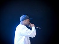 Major League Gardens Festival