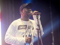 Major League Gardens Festival