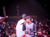 Major League Gardens Festival