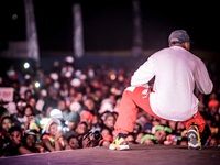 Major League Gardens Festival