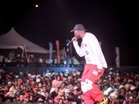 Major League Gardens Festival