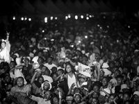 Major League Gardens Festival