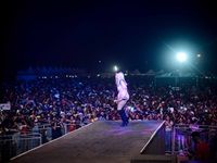 Major League Gardens Festival