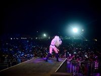 Major League Gardens Festival