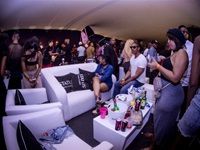 Major League Gardens Festival