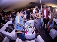 Major League Gardens Festival