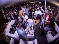 Major League Gardens Festival