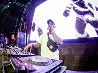 Major League Gardens Festival