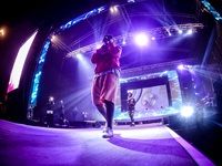 Major League Gardens Festival