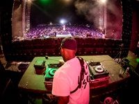 Major League Gardens Festival