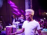 Major League Gardens Festival