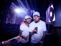 Major League Gardens Festival