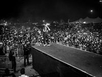 Major League Gardens Festival