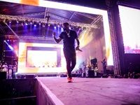 Major League Gardens Festival