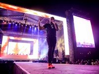 Major League Gardens Festival