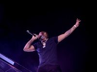 Major League Gardens Festival