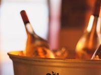 Beluga unveils new offerings