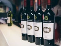 Beluga unveils new offerings