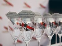 Beluga unveils new offerings