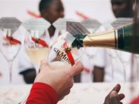 Beluga unveils new offerings