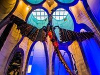 Qhubeka hands over bikes in Paarl