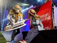 Vic Falls Carnival 2017