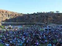 Crash Test Dummies Cape Town