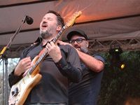 Crash Test Dummies Cape Town