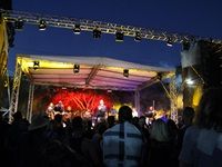 Crash Test Dummies Cape Town