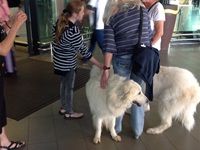 King Shaka International Airport donates educational kits, mobile libraries