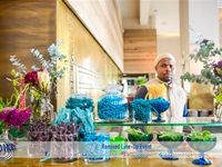 GHFM celebrates lineup shuffle with donuts, donuts, and more donuts