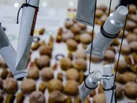 Ads24 Food for Thought 2018