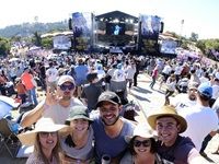 The seventh annual Jacaranda Day