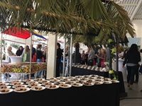 Seychelles Tourism Board brings Roadshow to SA