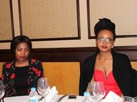 SLE showcases new projects in CT