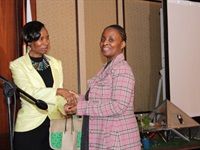 SLE showcases new projects in CT