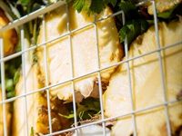 Sir John returns for even more makeup masterclasses