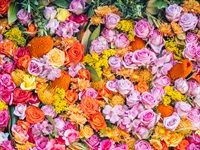 Sir John returns for even more makeup masterclasses