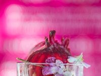 Sir John returns for even more makeup masterclasses