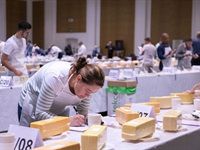SA Dairy Championships receives 882 entries